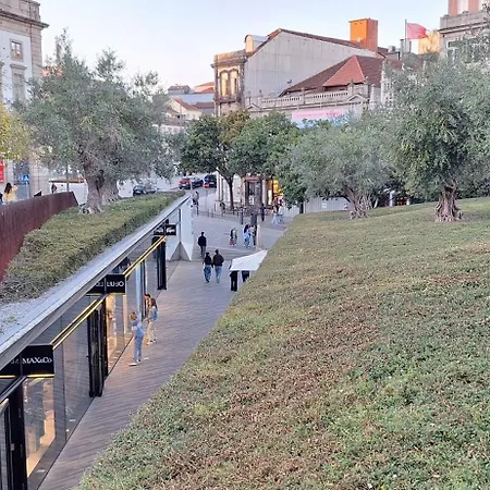 Appartamento Anémona *